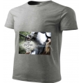 Tricou gri, Put on the full Armor of God 